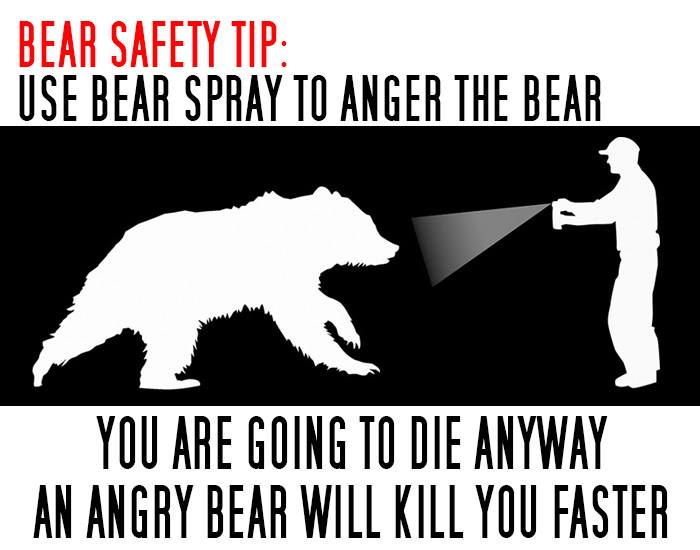 bear spray.jpg