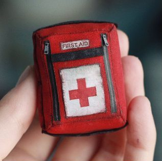 first aid kit for ants.png