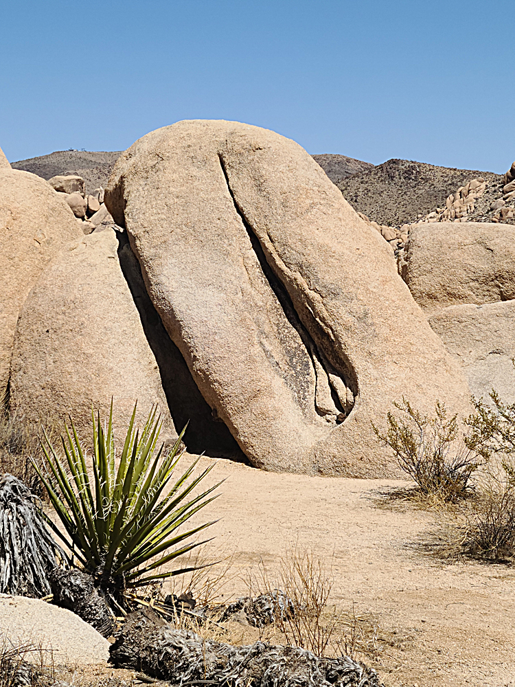 goddess of the desert.jpg