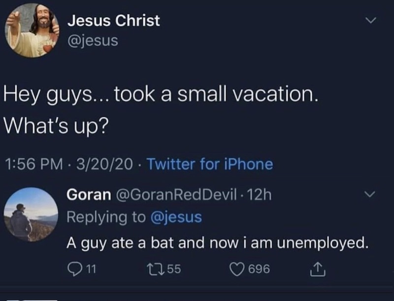 humor-jesus-vaca-bat.jpg