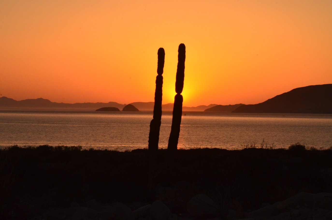 Sunrise on the sea of cortez.jpg