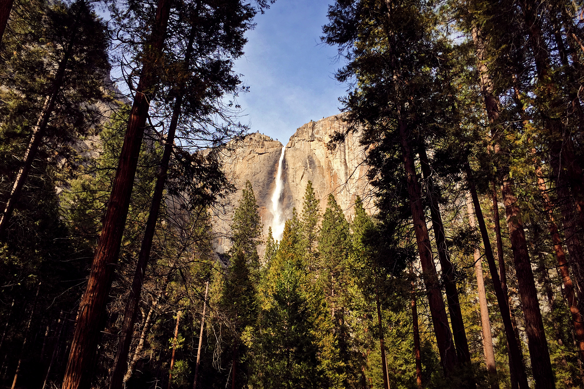 American Adventurist: Yosemite Falls