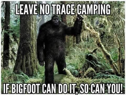 Bigfoot.jpg