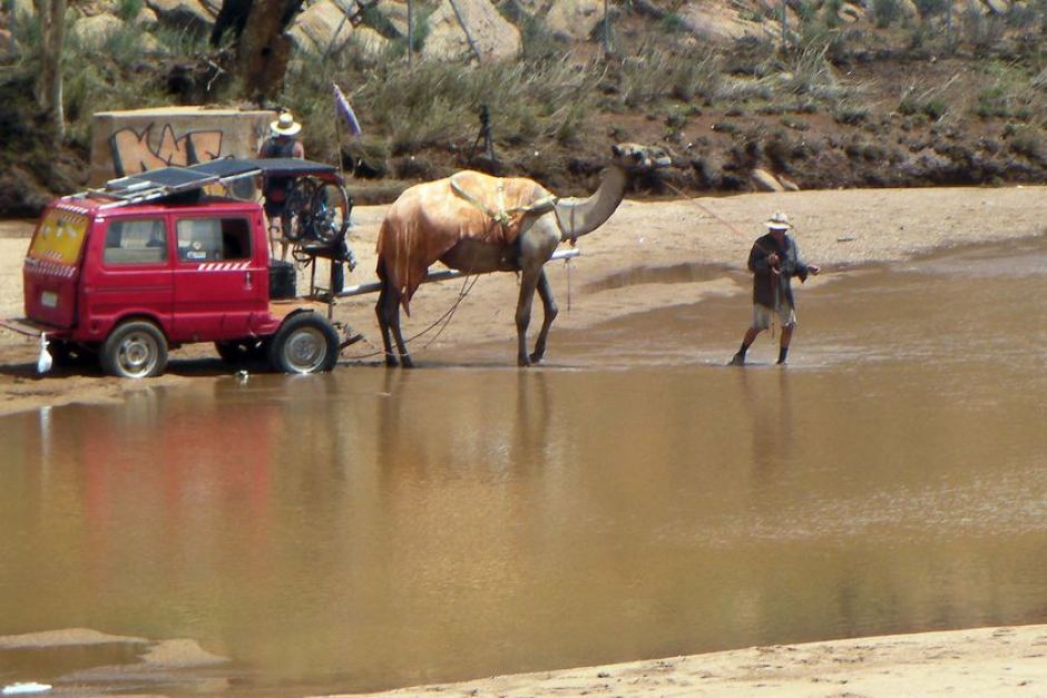 camel solar vn.jpg