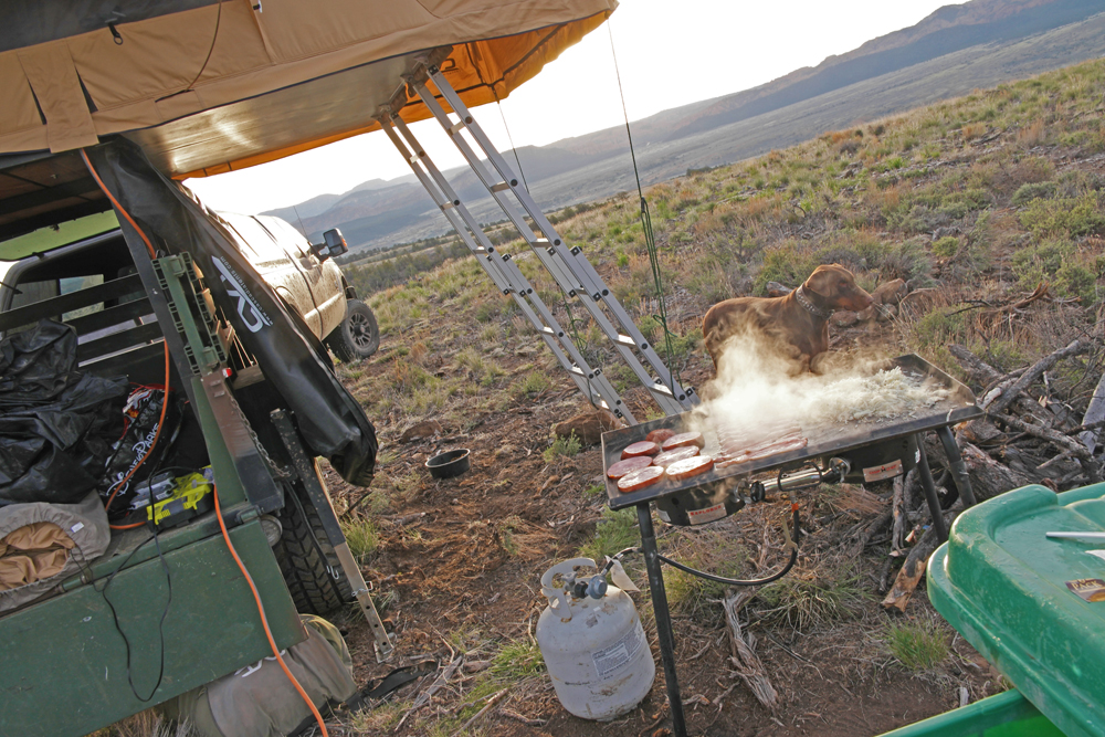 camp cooking and dog samll.jpg