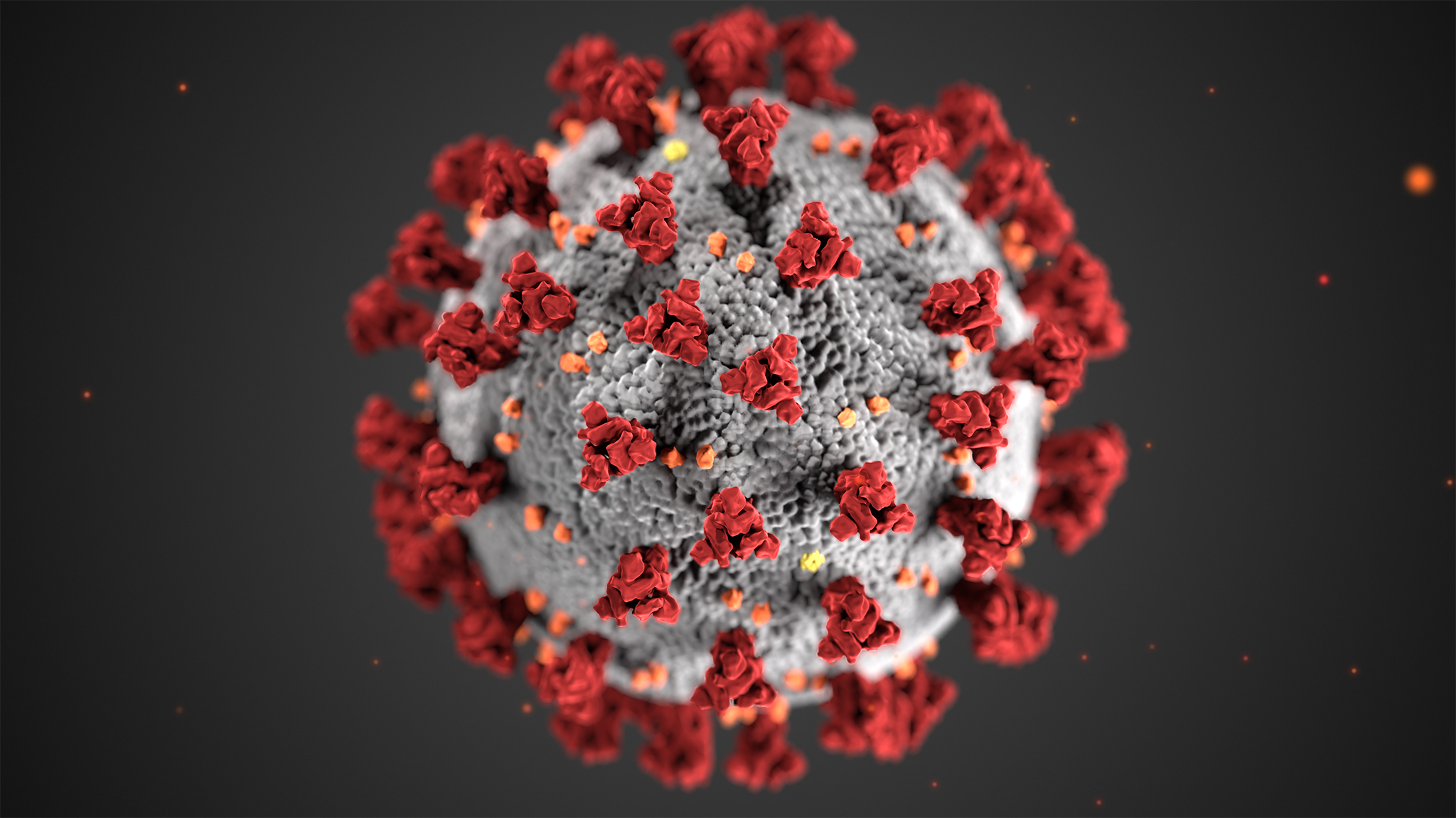 coronavirus-2048-1.jpg