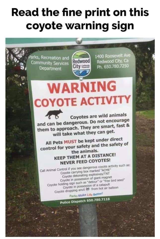 Coyote Warning.jpg