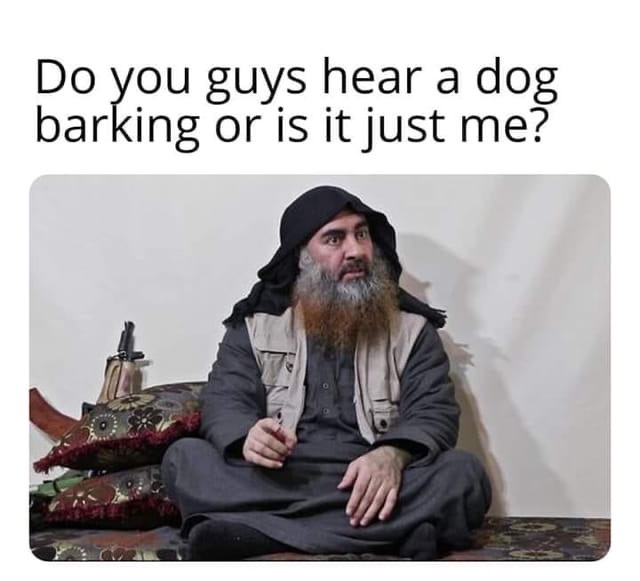 dog barking.JPG