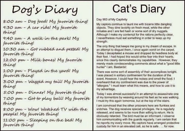 Dog_vs_Cat_DiaryEntries.jpg