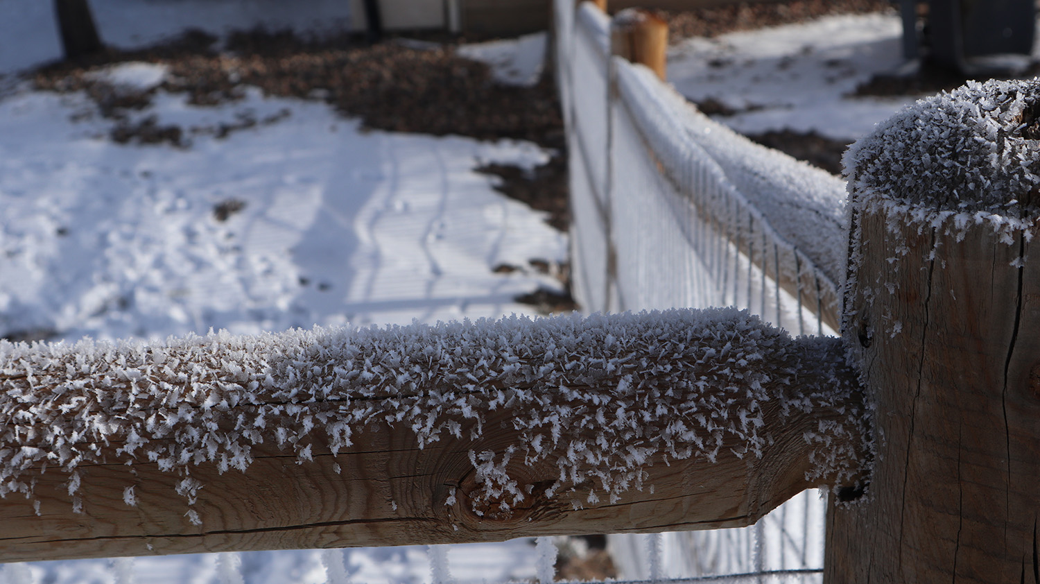 Fence rail.jpg