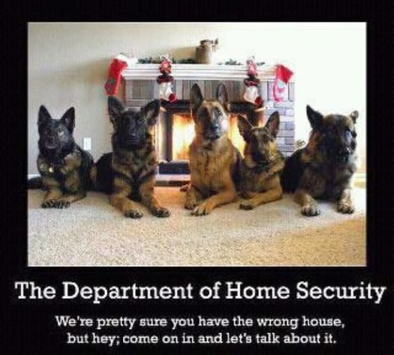 home security.jpg