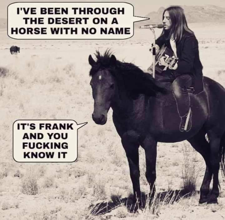 horse name.jpg