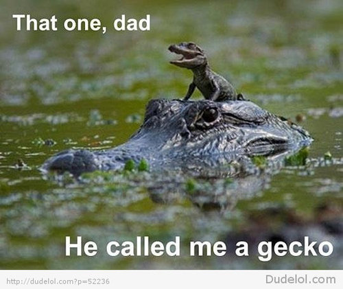 protective-alligator-dad_large.jpg