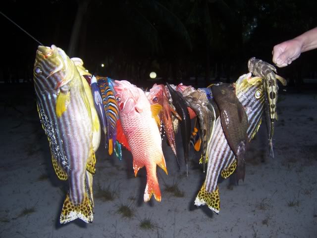 SpearfishinginMaldives.jpg