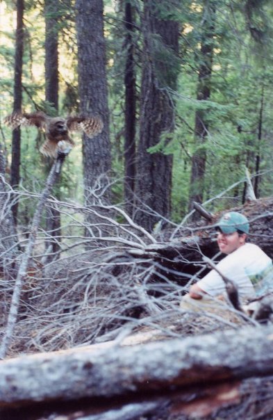 spotted owls.jpg