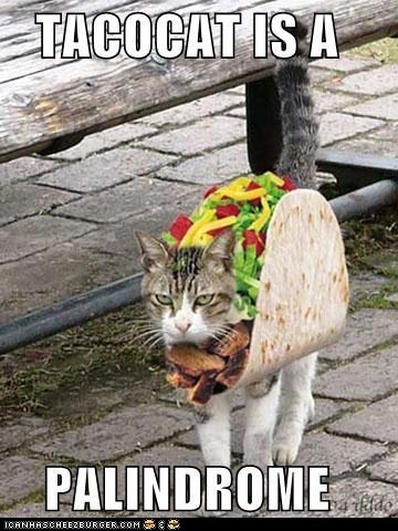 tacocat.jpg