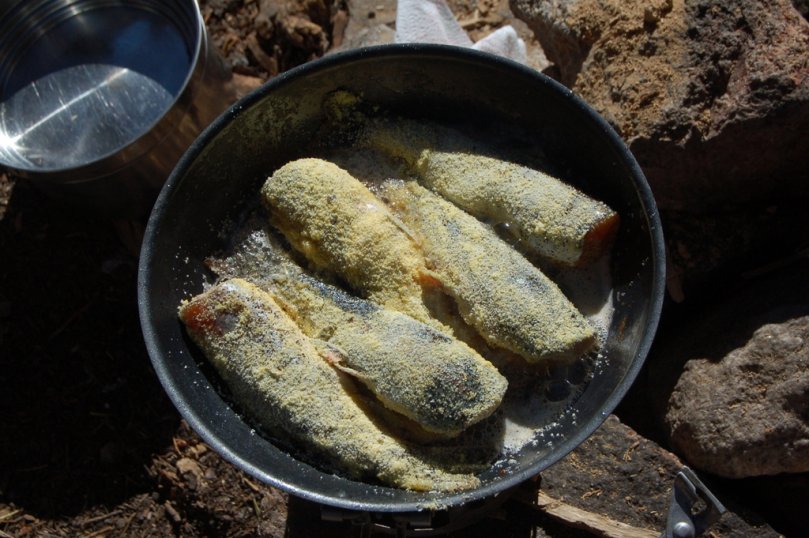 Trout in the pan.jpg