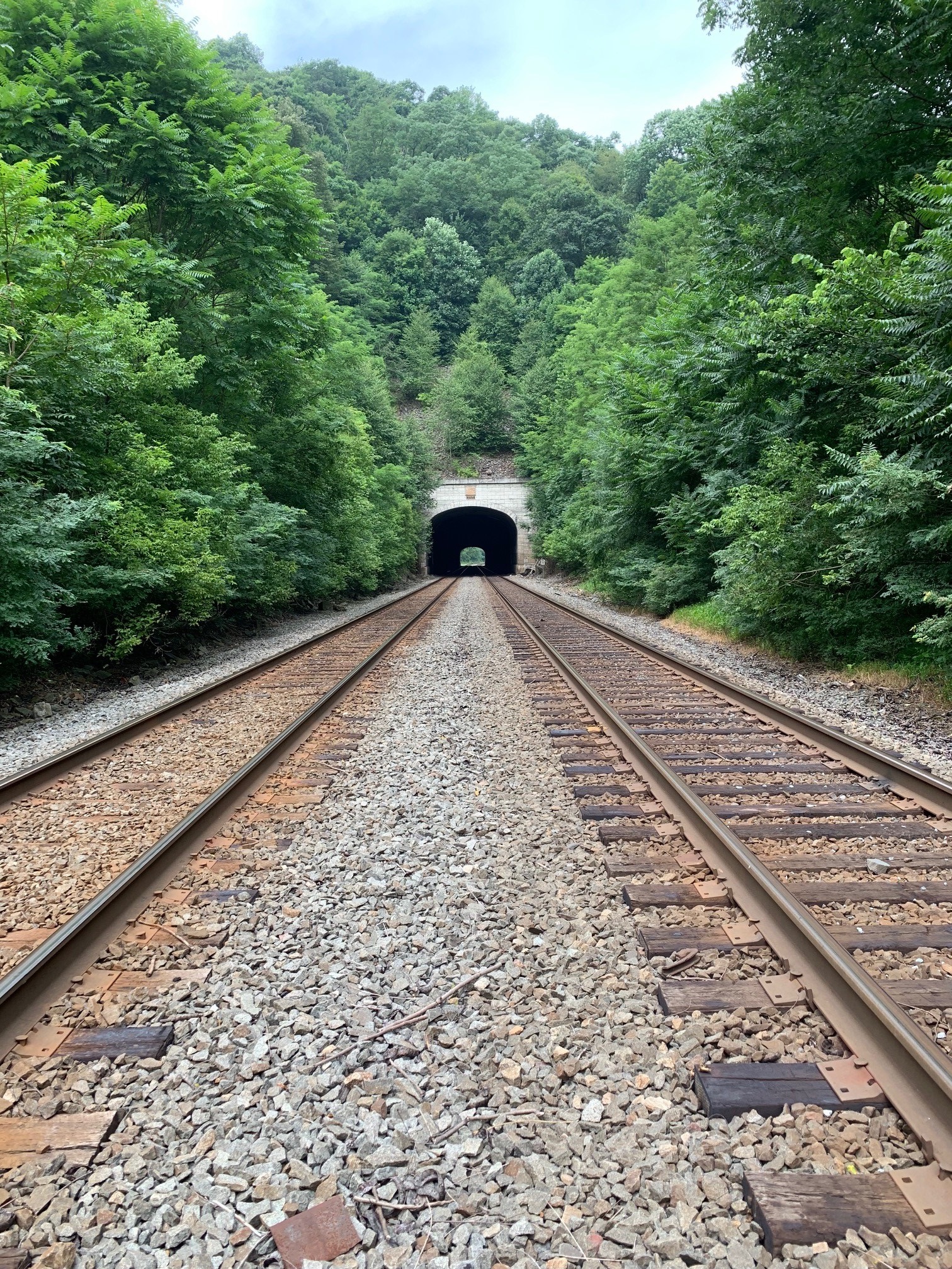 tunnel.jpg