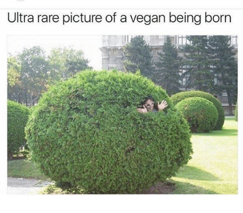 vegan born.png